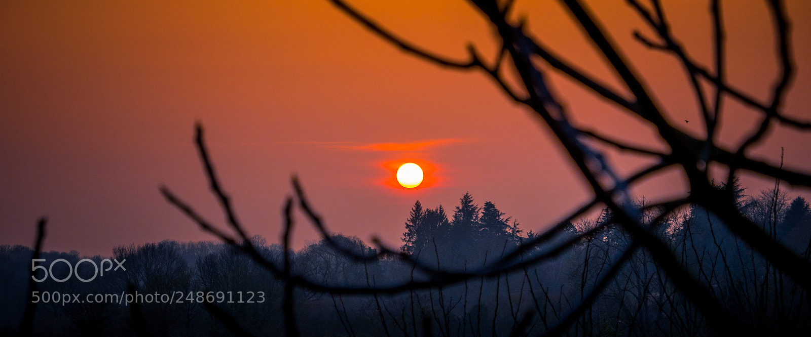 Panasonic Lumix DC-GH5 sample photo. Soleil rouge photography