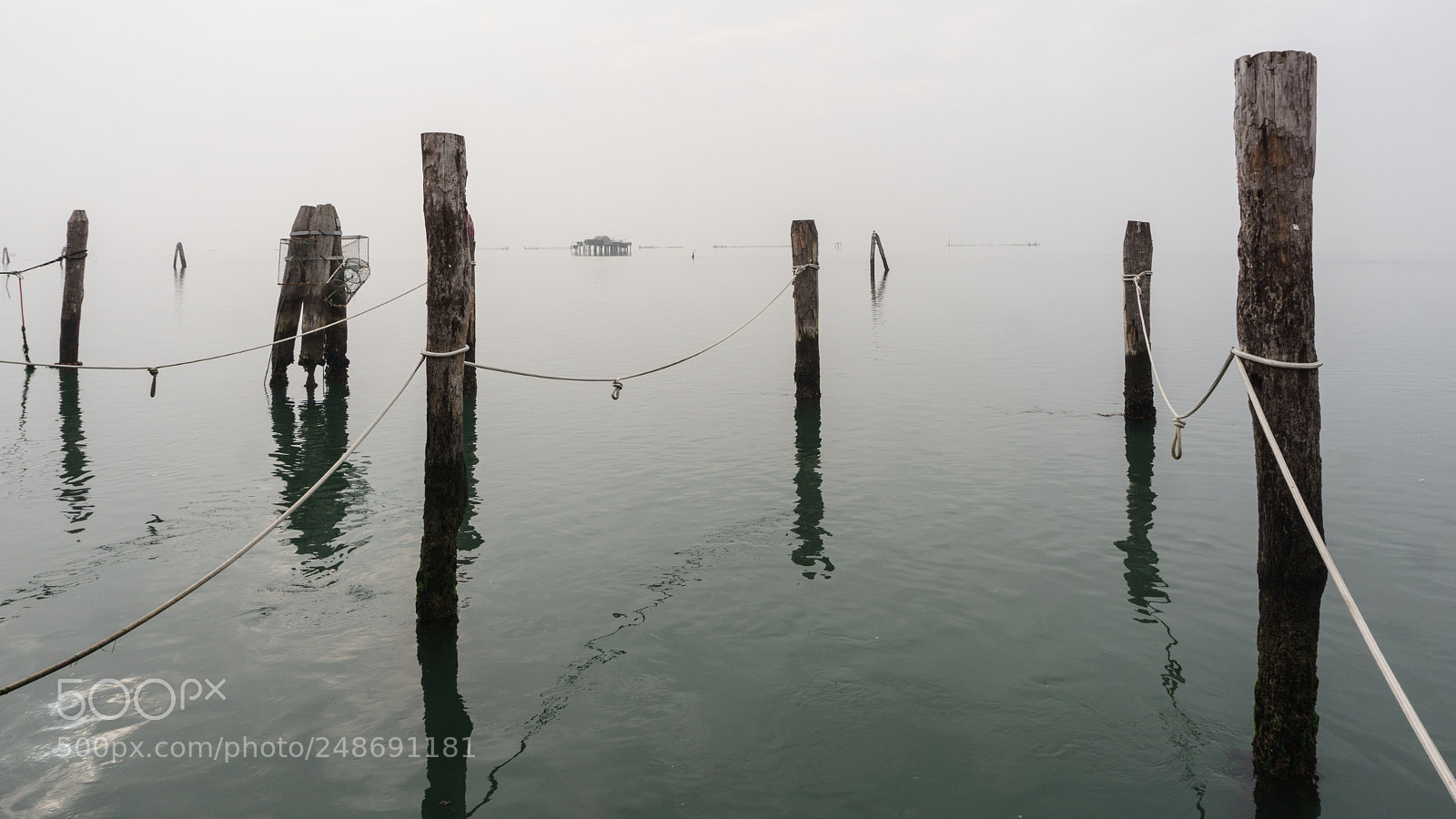Sony a6000 sample photo. Dsc photography