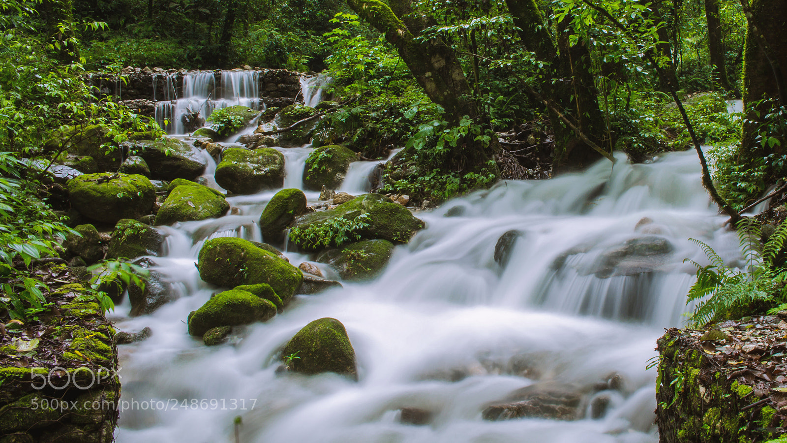 Canon EOS 700D (EOS Rebel T5i / EOS Kiss X7i) sample photo. Muhanpokhari photography