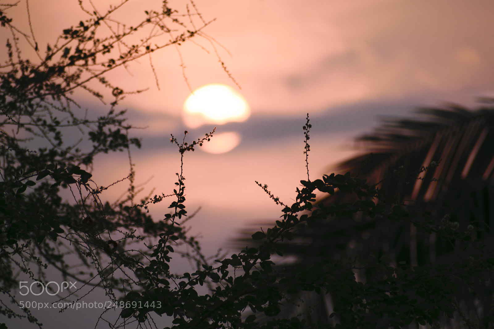 Nikon D5300 sample photo. Sunrise 1 photography