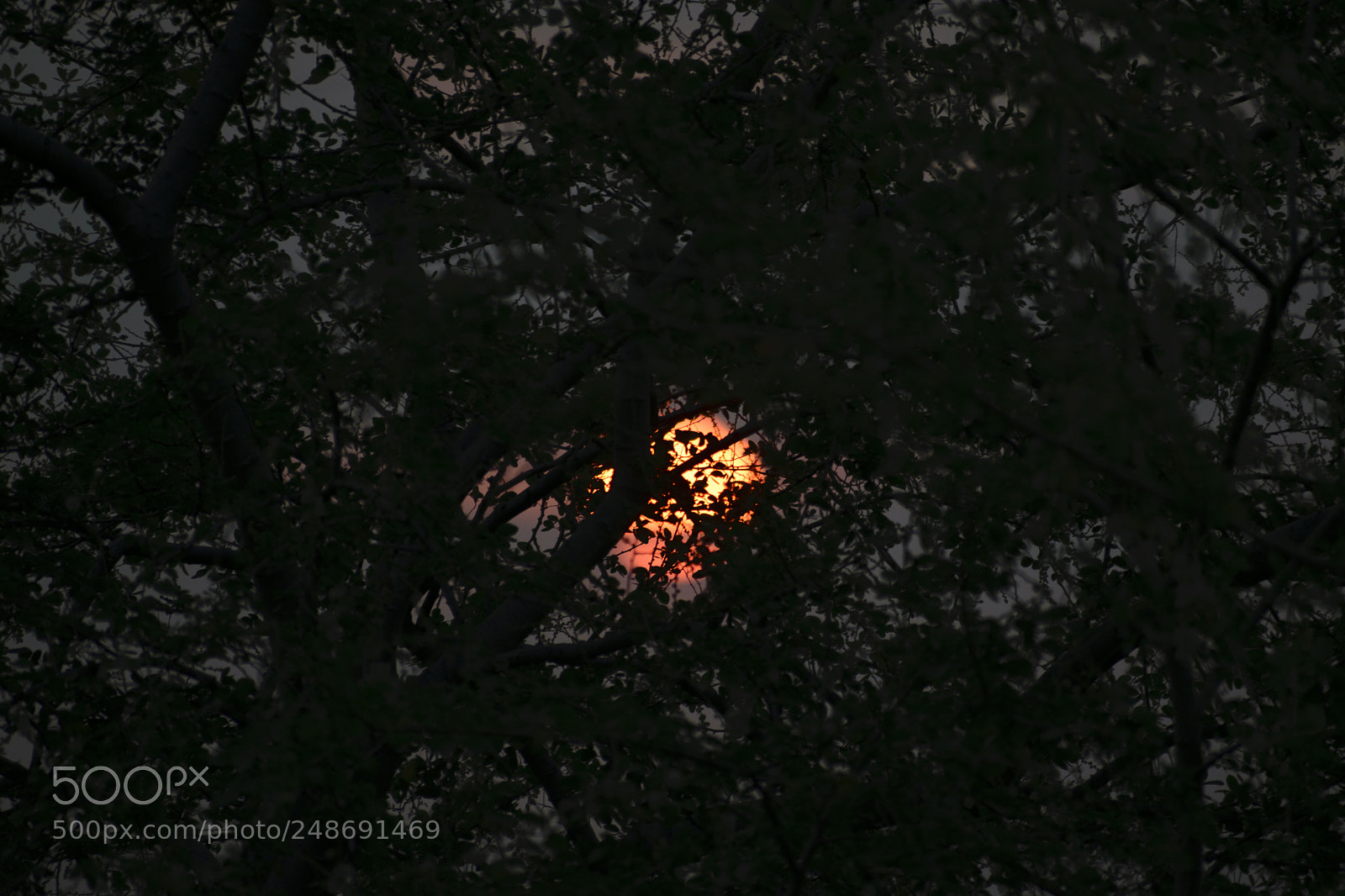 Nikon D5300 sample photo. Sunrise 2 photography