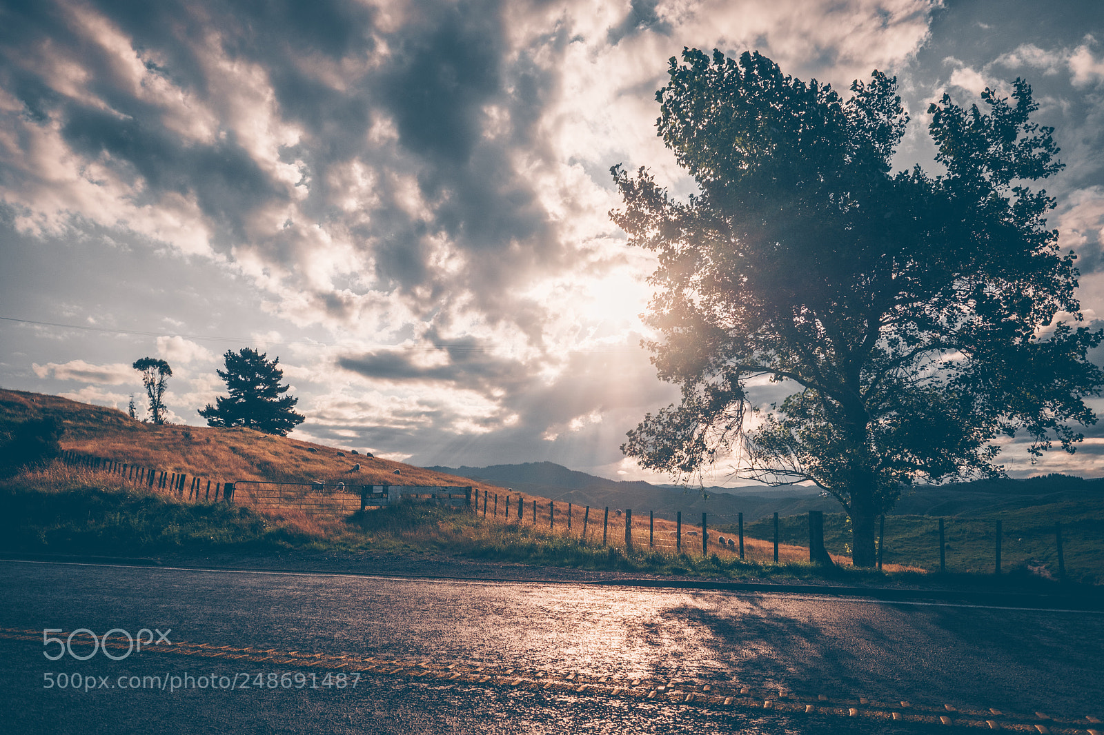 Fujifilm X-T2 sample photo. Hawkes bay sunset photography