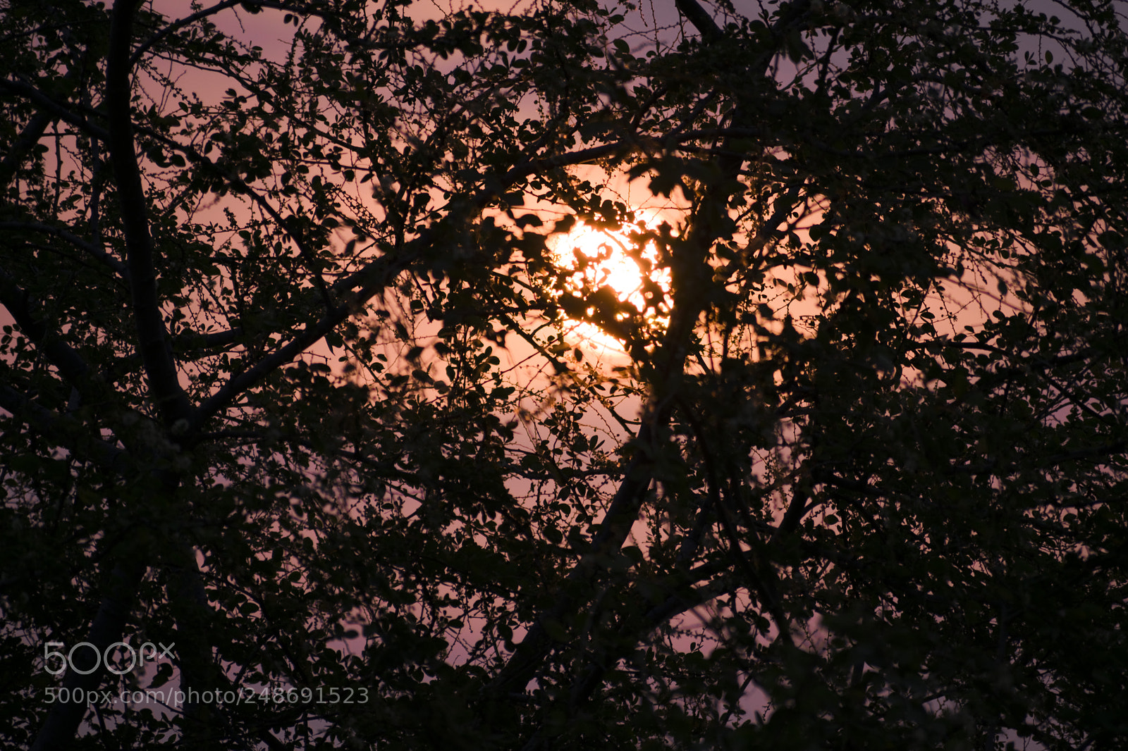 Nikon D5300 sample photo. Sunrise 3 photography