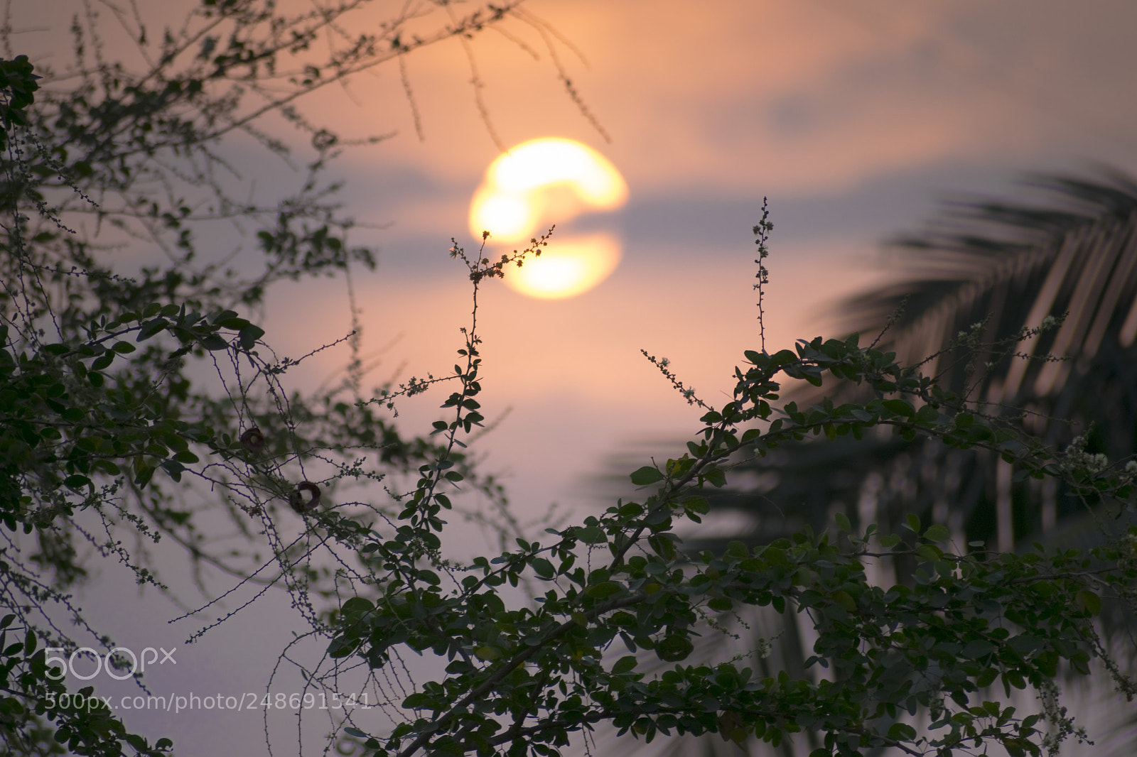 Nikon D5300 sample photo. Sunrise 4 photography