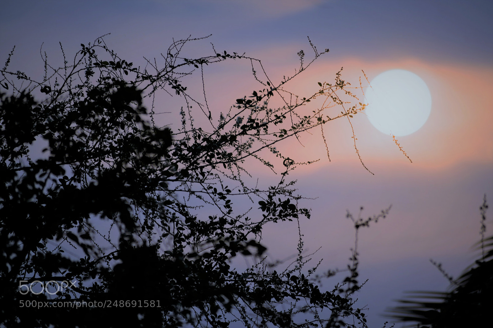 Nikon D5300 sample photo. Sunrise 5 photography