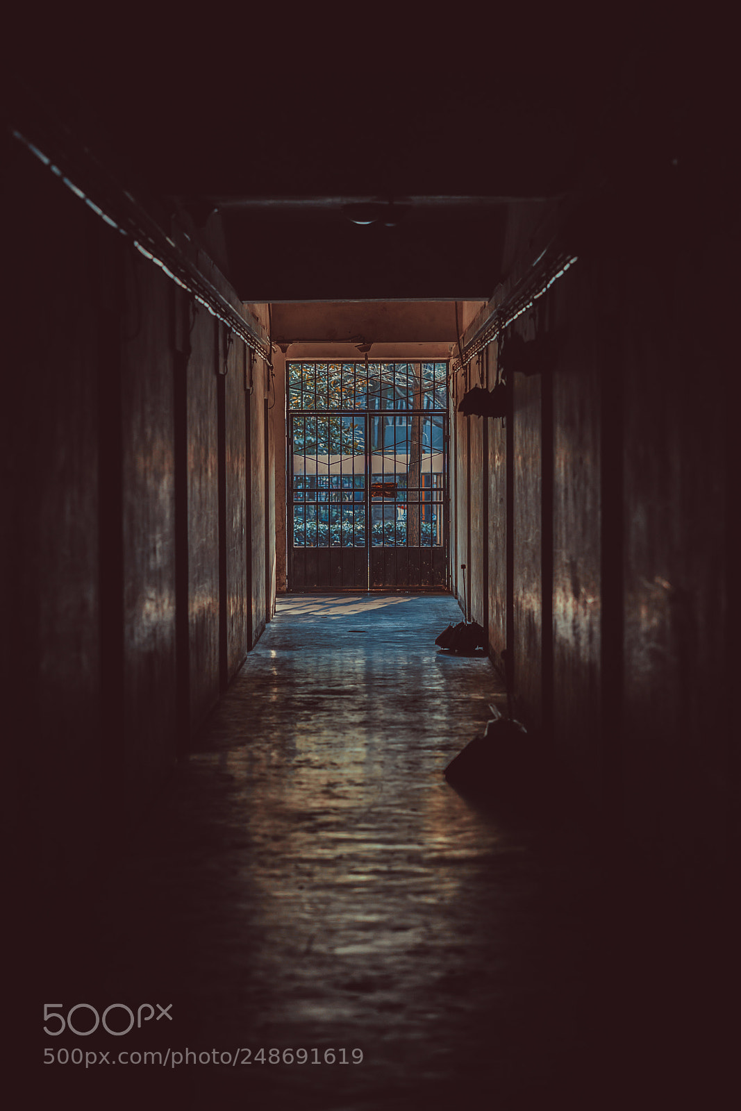 Sony a7 II sample photo. 窗 photography