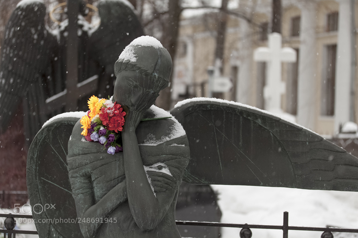 Canon EOS 500D (EOS Rebel T1i / EOS Kiss X3) sample photo. Monument photography
