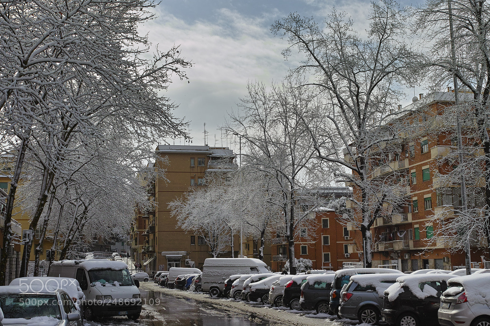 Sigma DP2 Merrill sample photo. Neve a roma photography