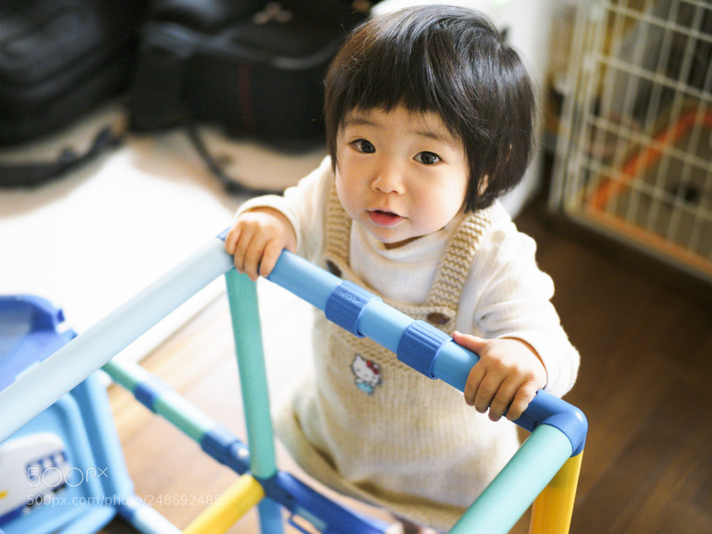 Olympus OM-D E-M1 Mark II sample photo. Jungle gym! photography