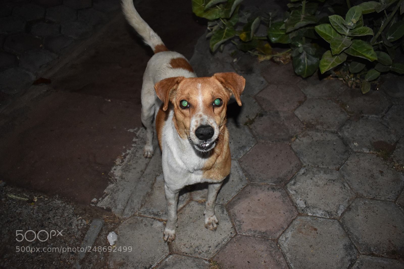 Nikon D3400 sample photo. How's looking! photography