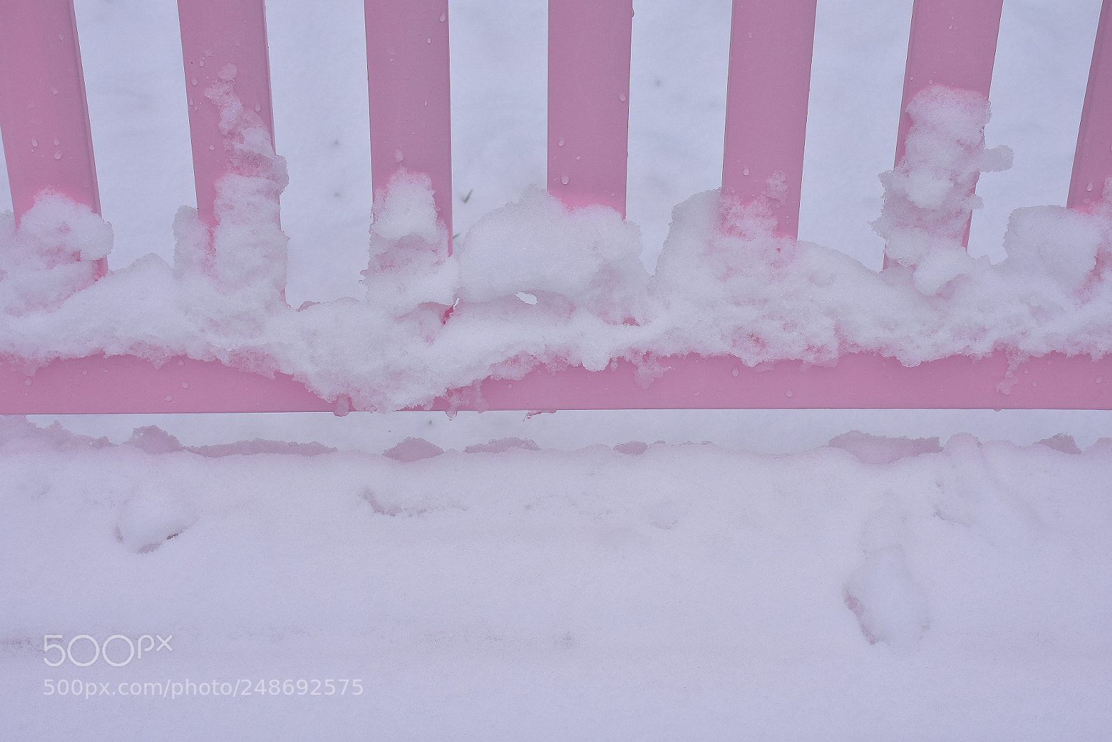 Nikon D7200 sample photo. Pink and snow photography