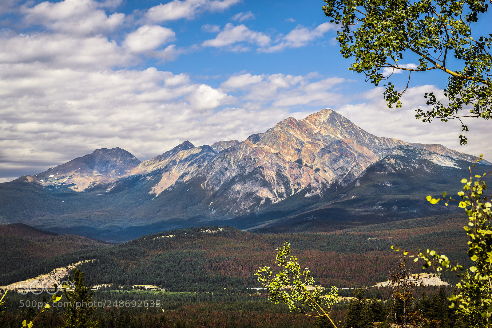 Nikon D800 sample photo. Canada 11 photography