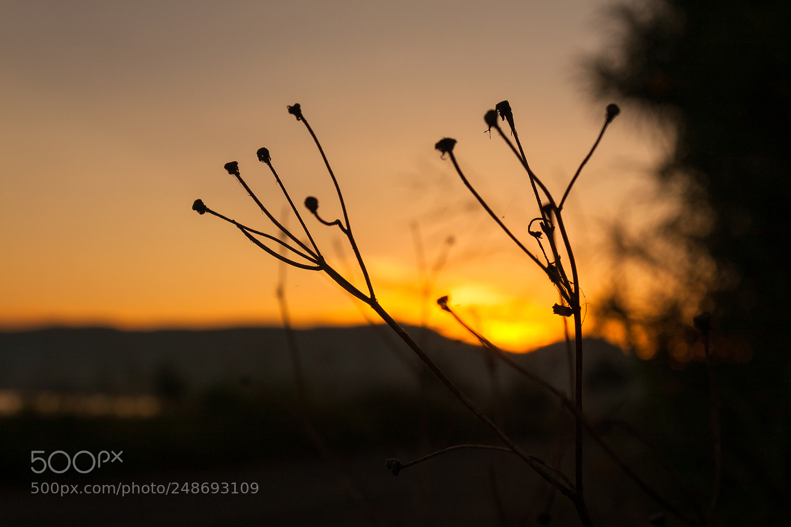 Canon EOS 40D sample photo. Aurora photography