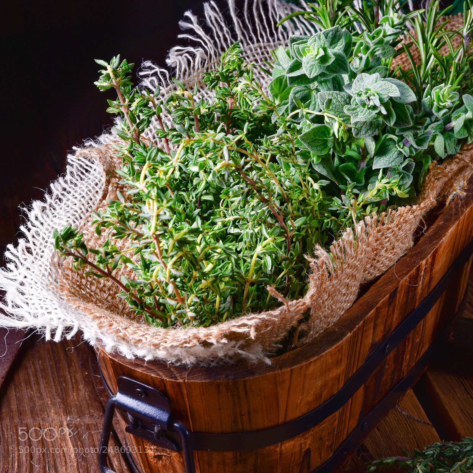 Nikon D810 sample photo. Herbal collection of thyme,oregano photography