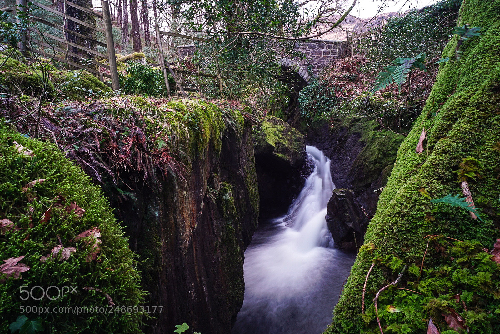 Sony a6000 sample photo. Buchan burn, dumfries and photography