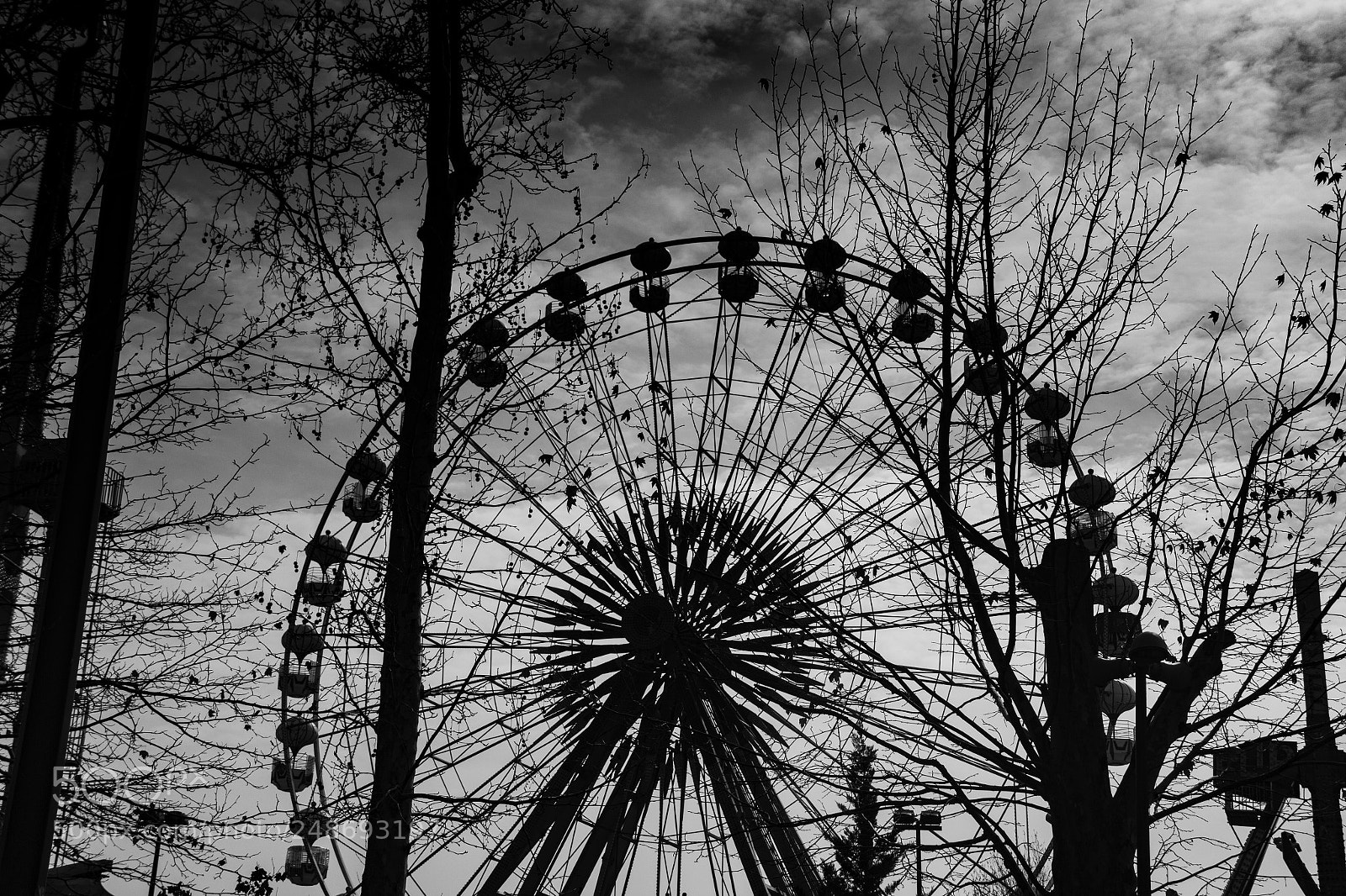 Canon EOS 60D sample photo. Gençlik parkı photography
