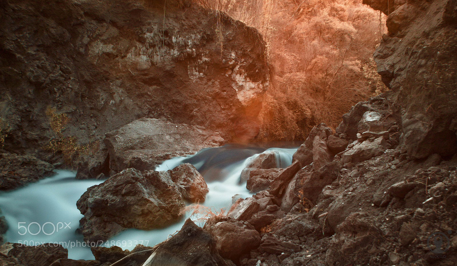 Nikon D3100 sample photo. Theogefiro photography