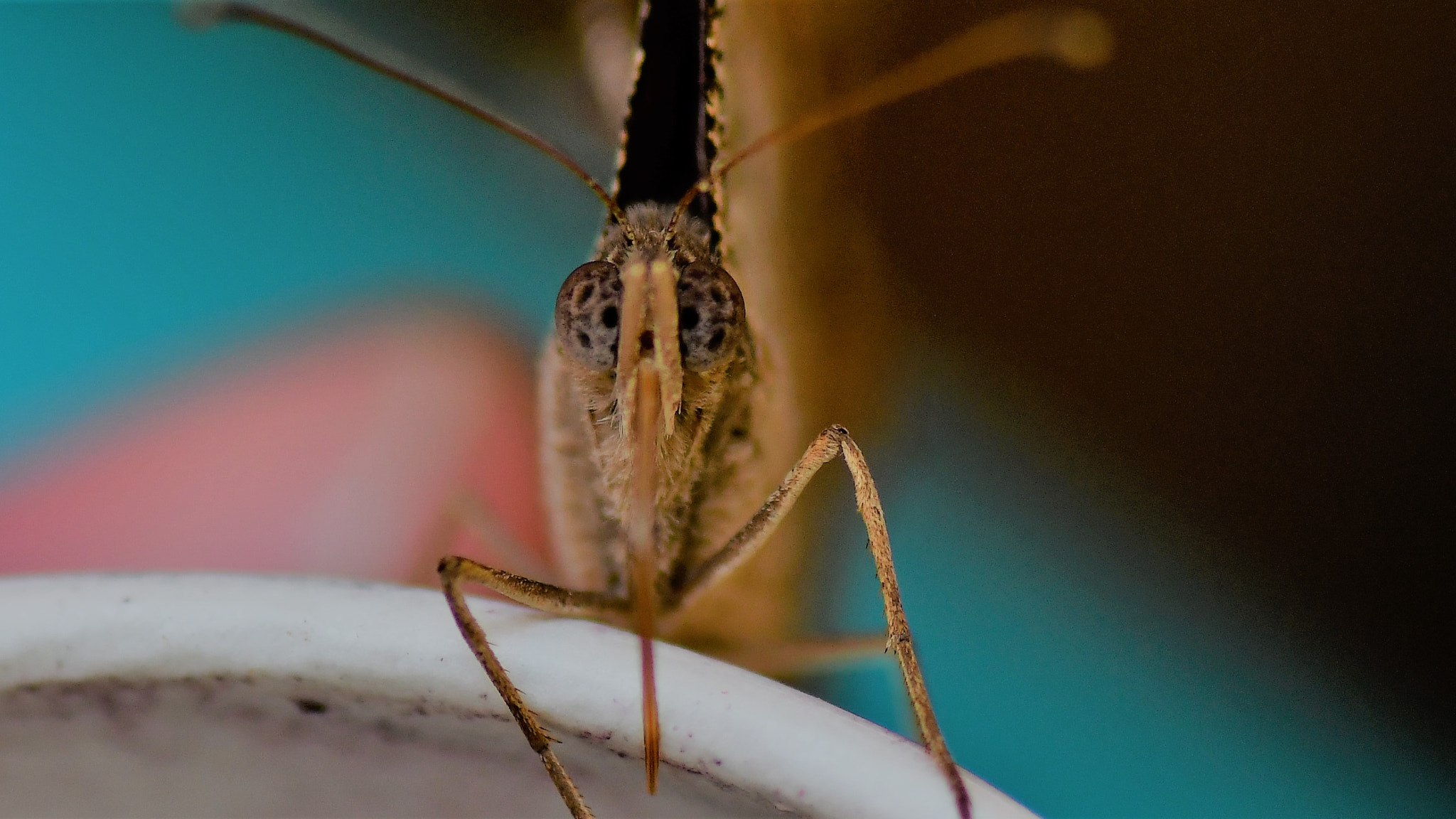 Nikon D7500 sample photo. Taking a break photography