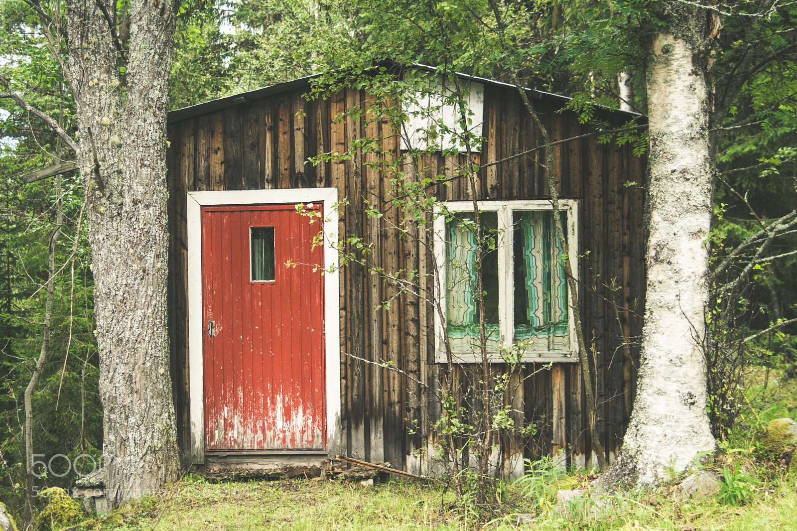 Nikon D7100 sample photo. House in the woods photography