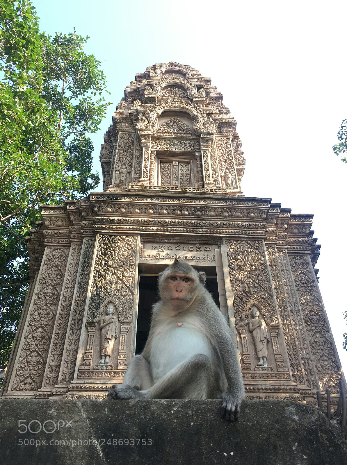 Apple iPhone 6s sample photo. Monkey in a temple photography