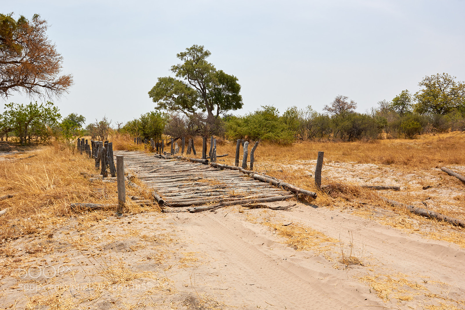 Canon EOS 60D sample photo. First bridge in botswana photography
