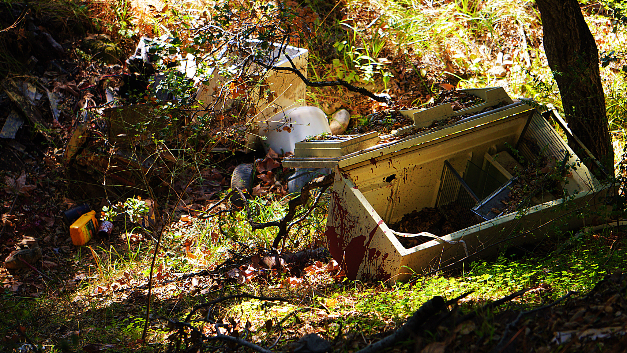 Sony FE 70-300mm F4.5-5.6 G OSS sample photo. Abandonment in paradise photography