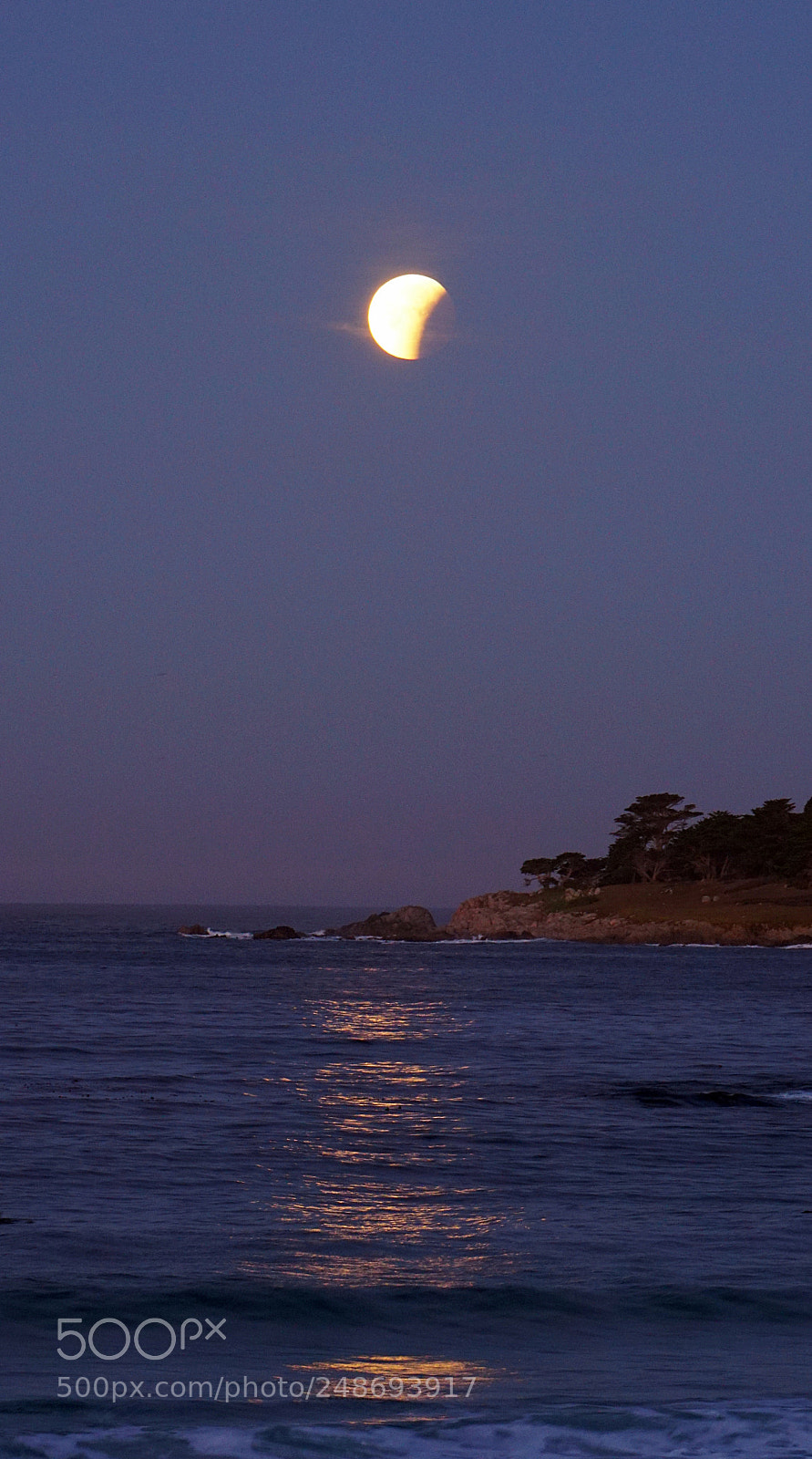 Sony a6300 sample photo. Blood moon eclipse over photography