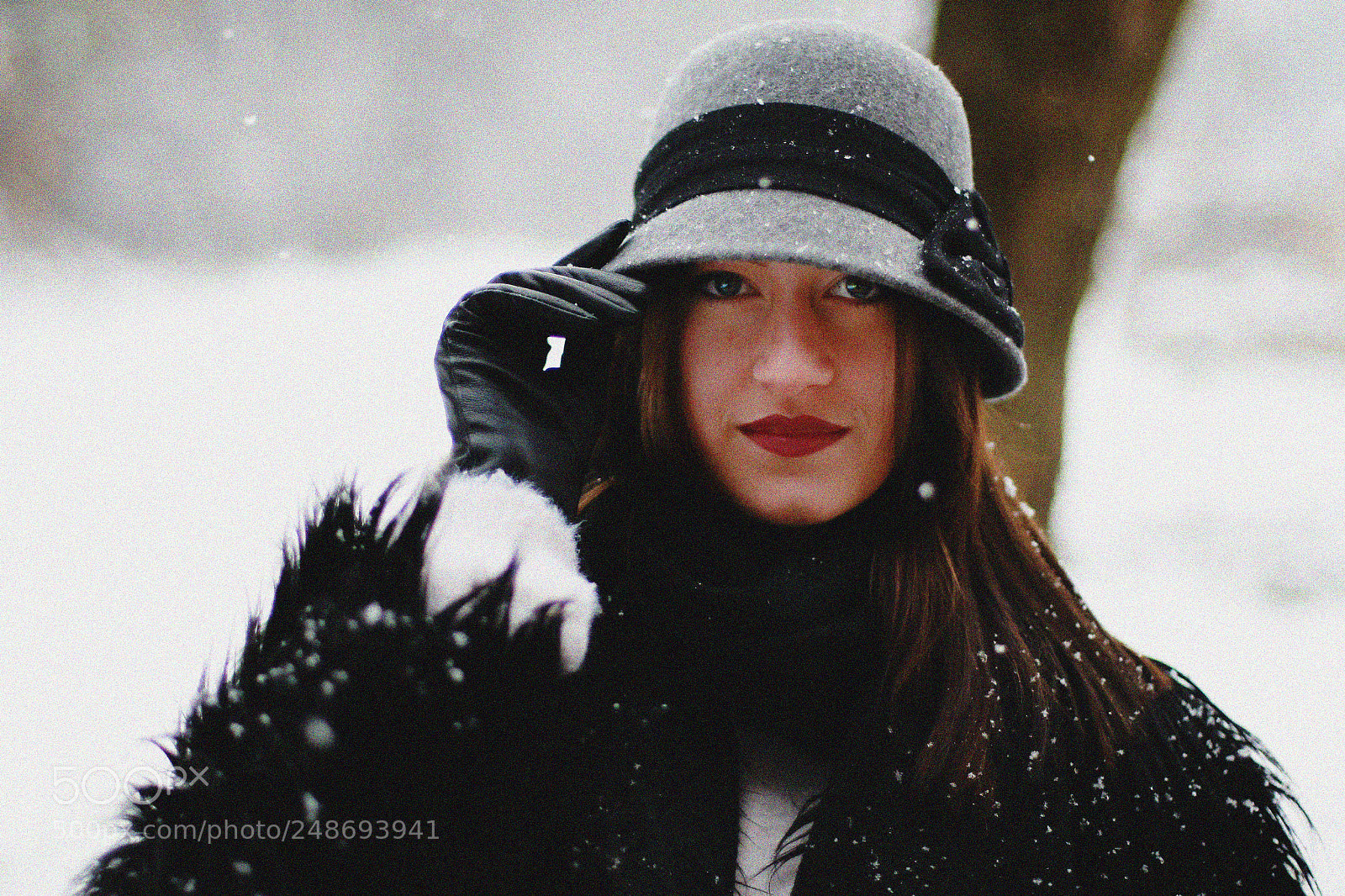 Canon EOS-1D Mark III sample photo. Let it snow. photography
