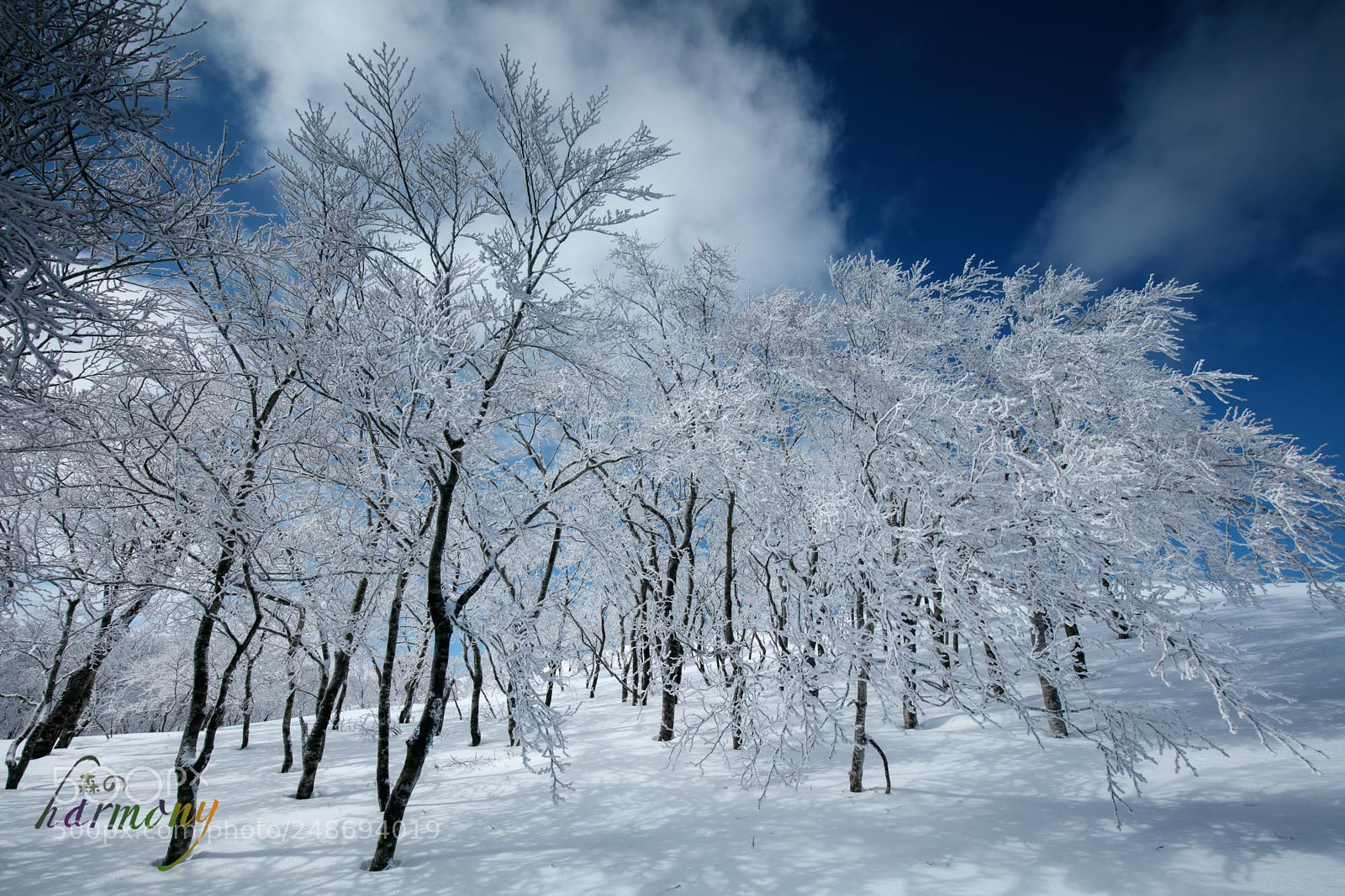 Canon EOS 5DS sample photo. Frost white and sky photography