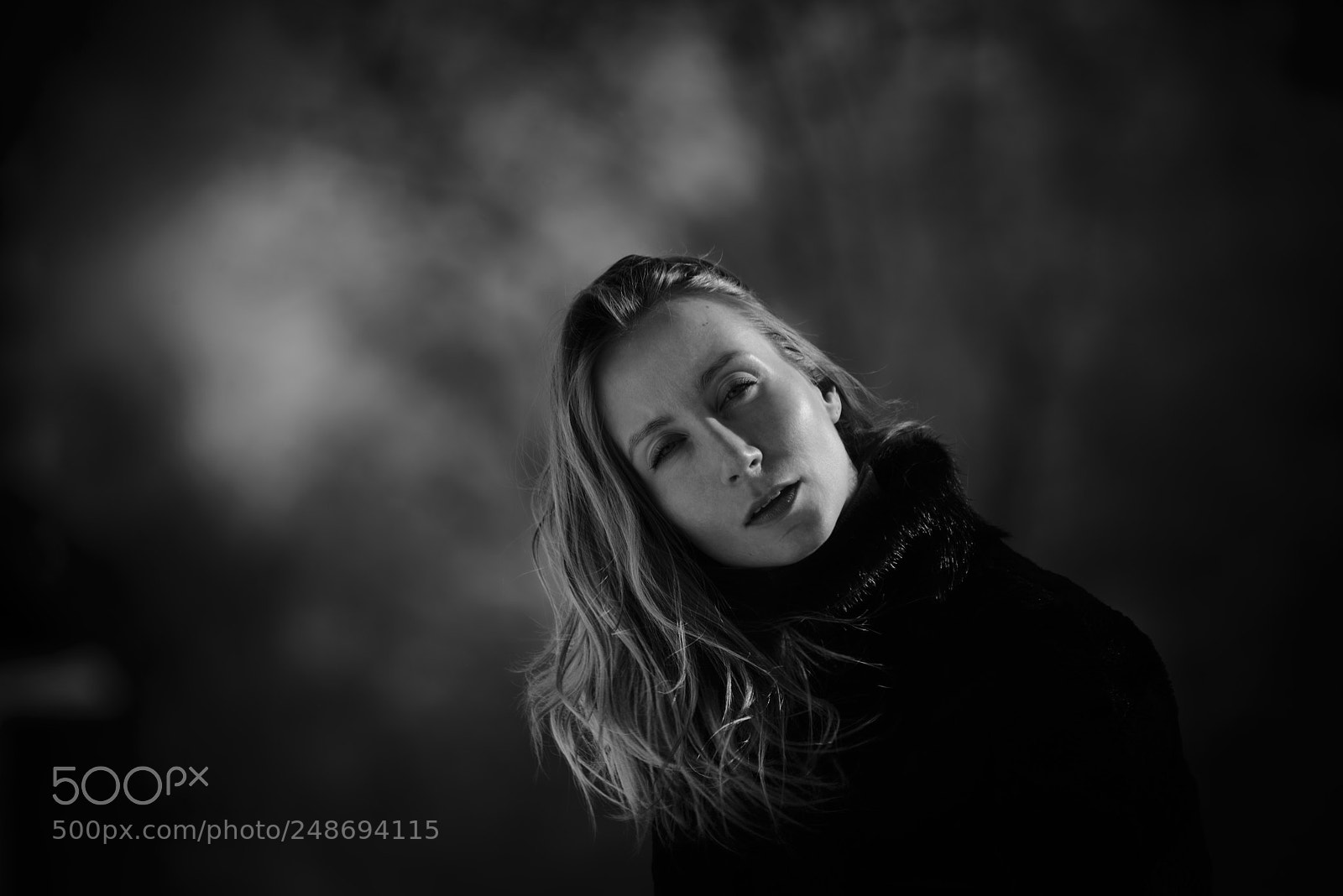 Nikon D600 sample photo. Womenportrait photography