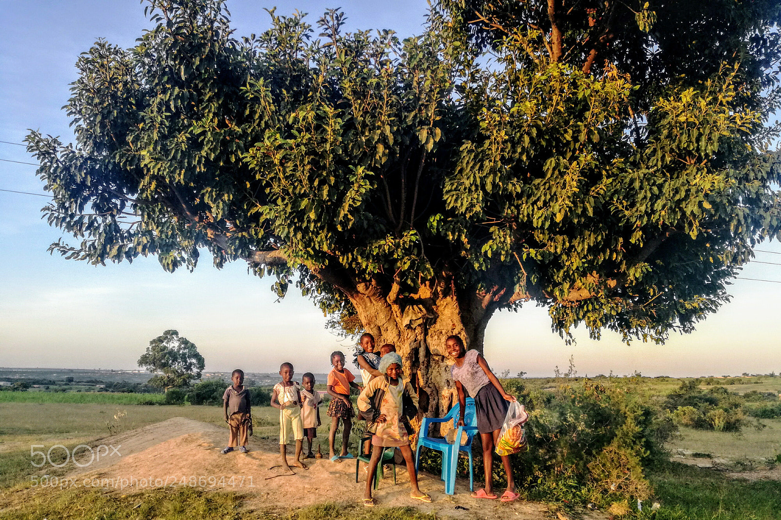 HUAWEI P9 LITE sample photo. Family tree photography