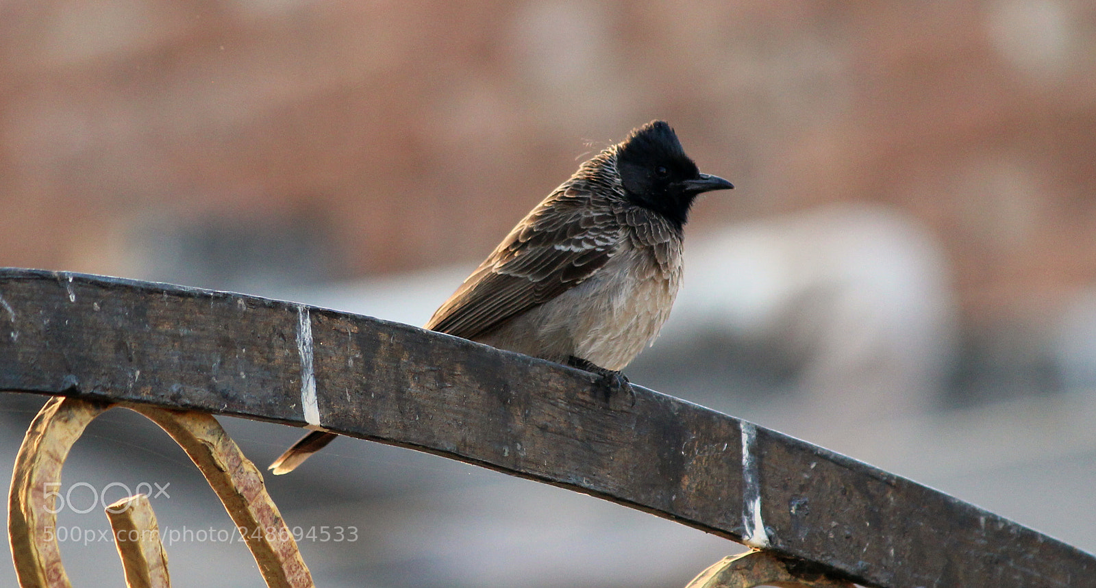 Canon EOS 1200D (EOS Rebel T5 / EOS Kiss X70 / EOS Hi) sample photo. Img photography