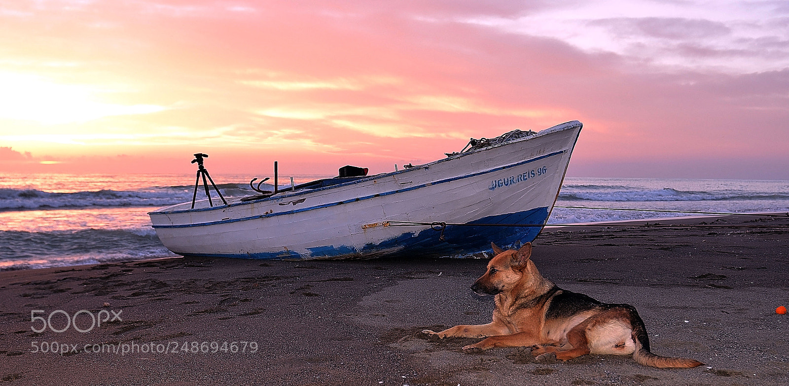 Nikon D610 sample photo. Untitled photography