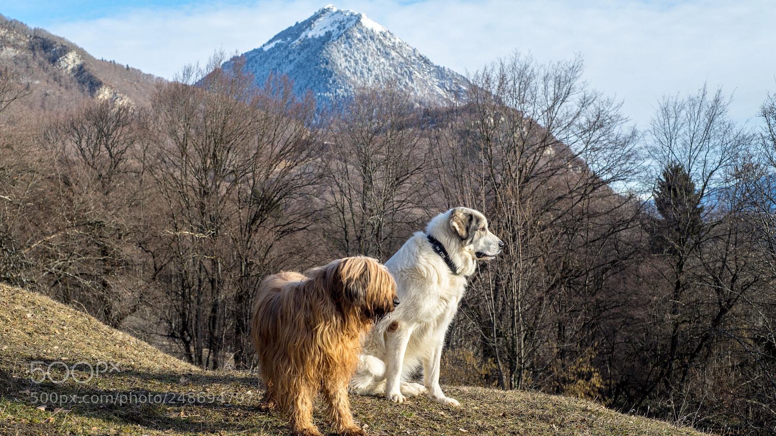 Sony a7R sample photo. Irina, front and papou photography