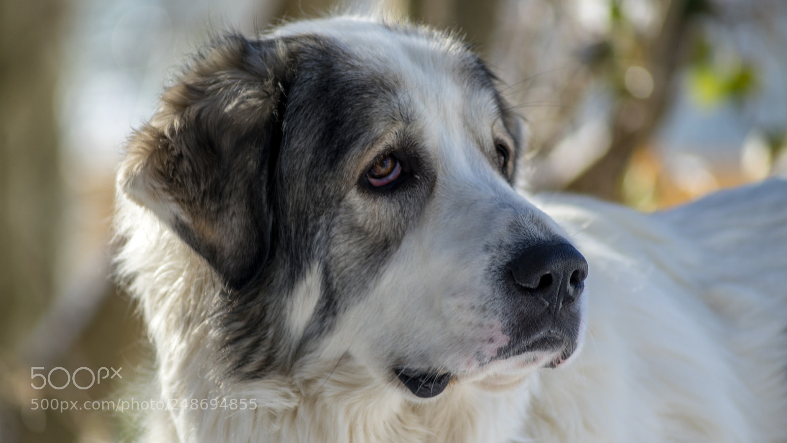 Sony a7R sample photo. Untitled photography