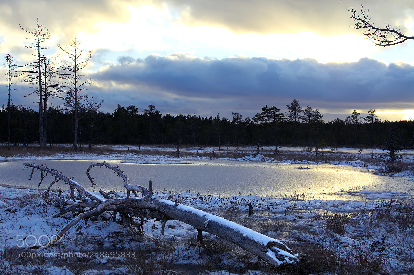 Nikon D7100 sample photo. Golden ice photography