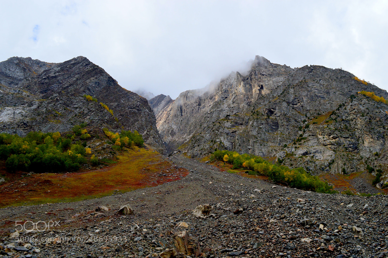 Nikon D3200 sample photo. Naltar valley, pakistan photography