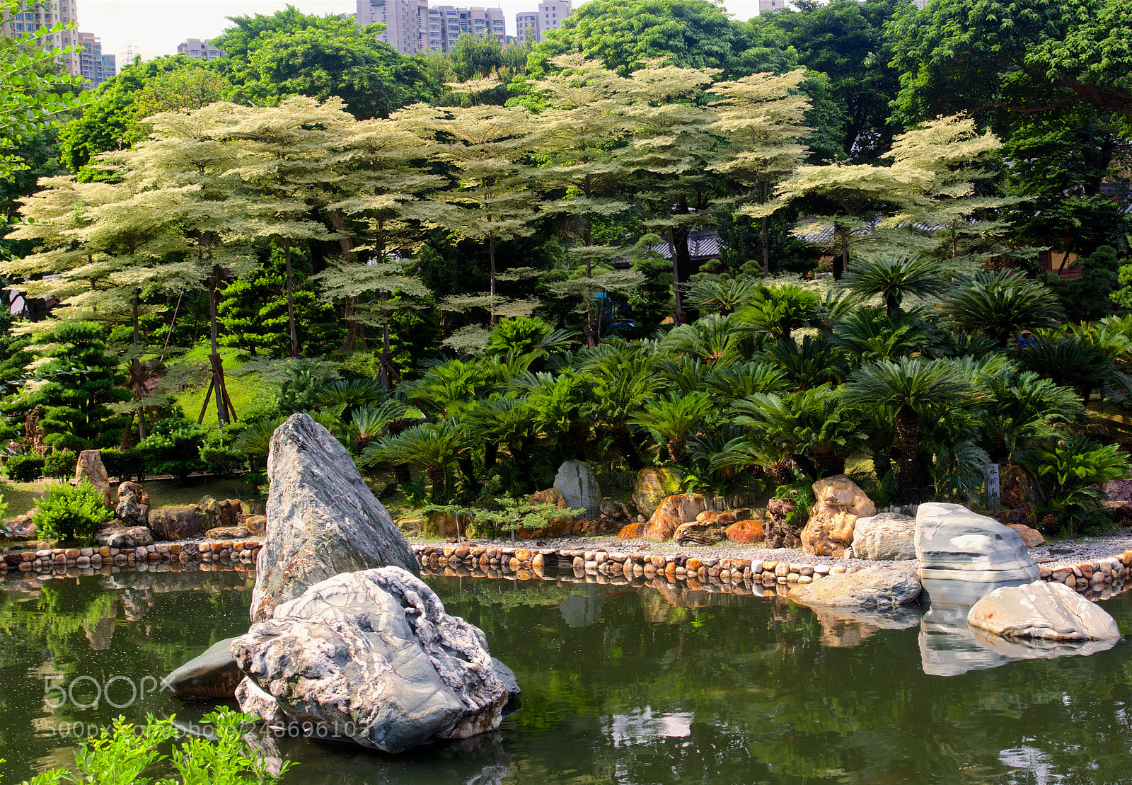 Canon EOS 60D sample photo. The hong kong zoological photography