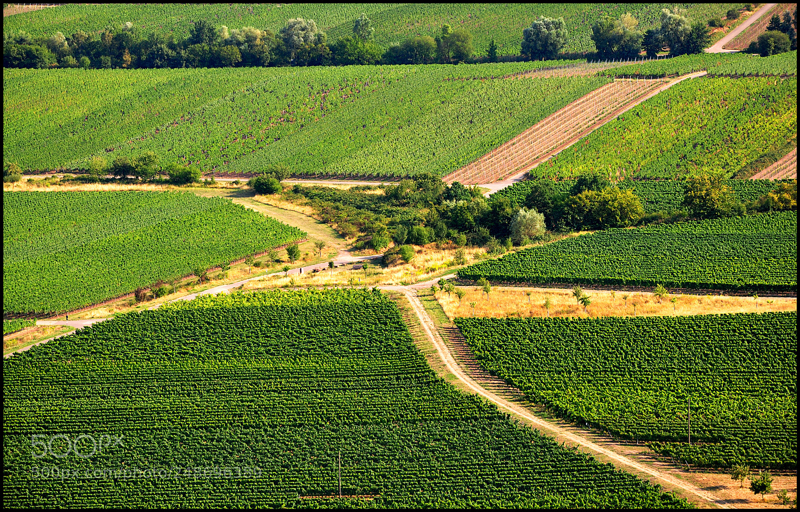 Nikon D90 sample photo. Crossroads photography