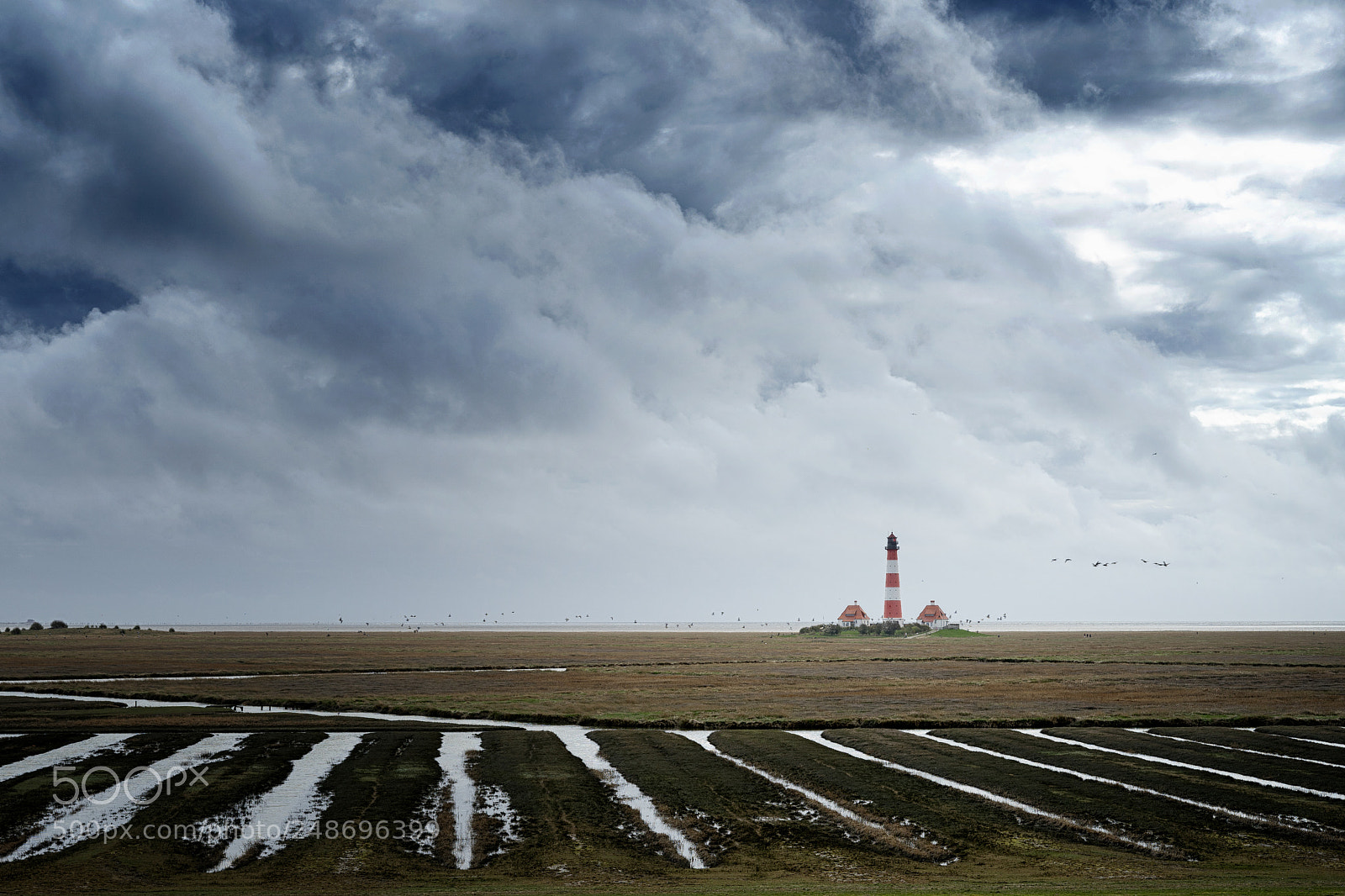 Sony a7 II sample photo. Westerhever photography