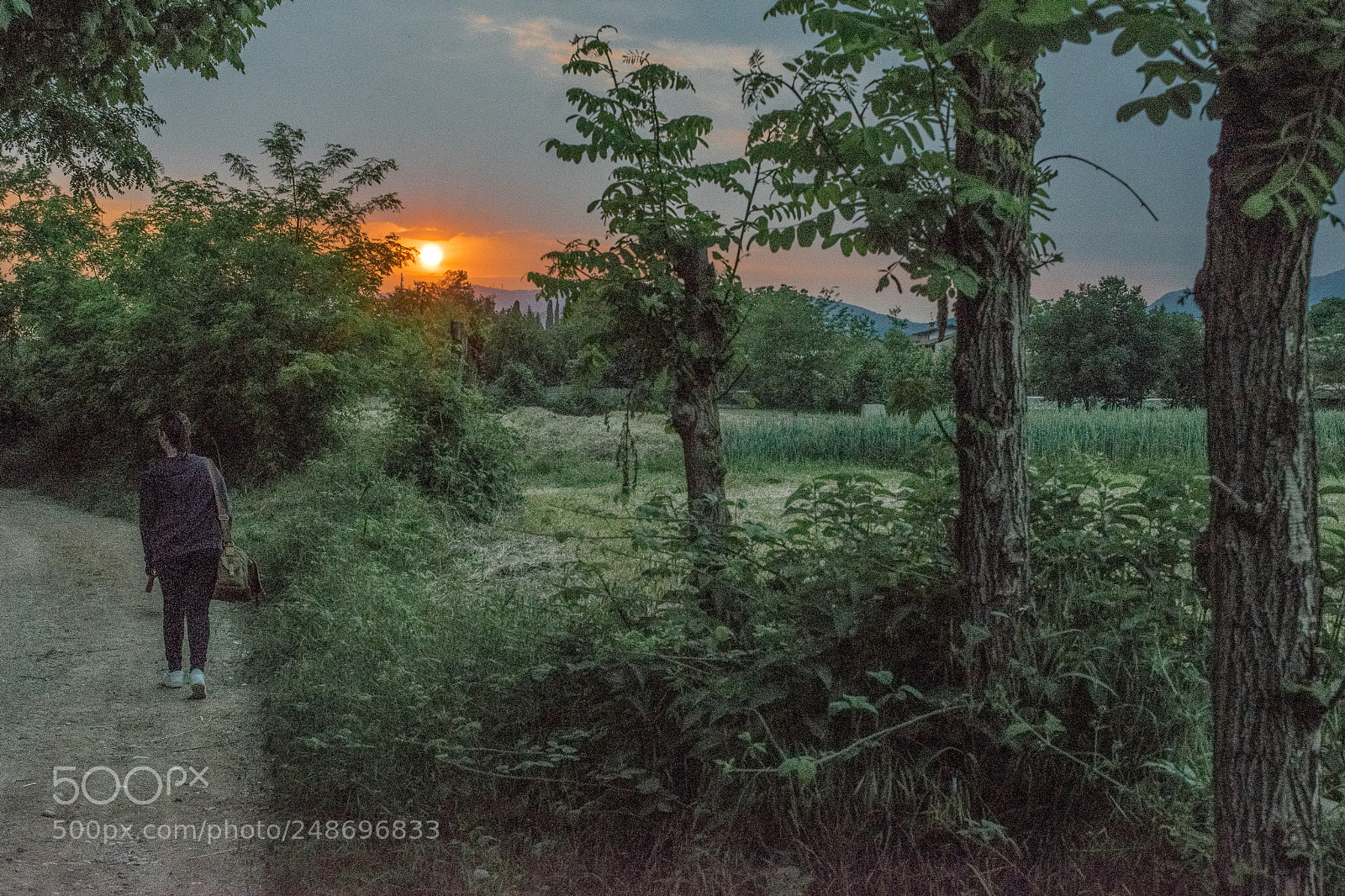 Nikon D5300 sample photo. Girl in the fields photography