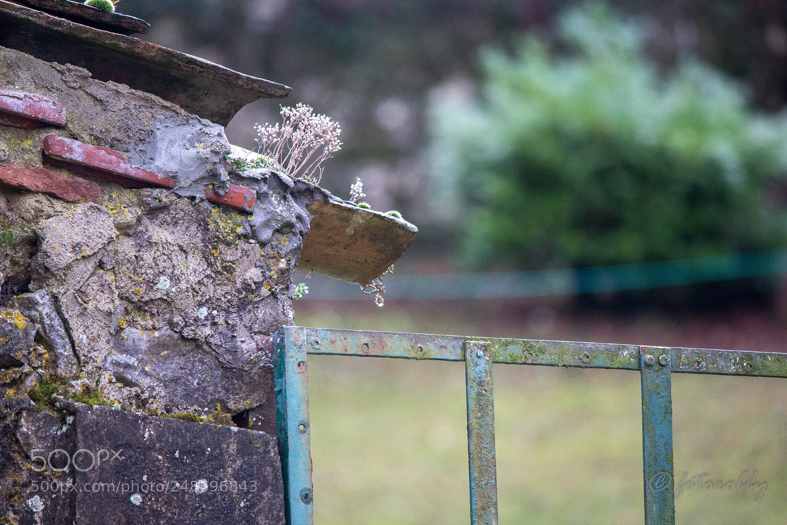 Canon EOS 600D (Rebel EOS T3i / EOS Kiss X5) sample photo. Less is more photography