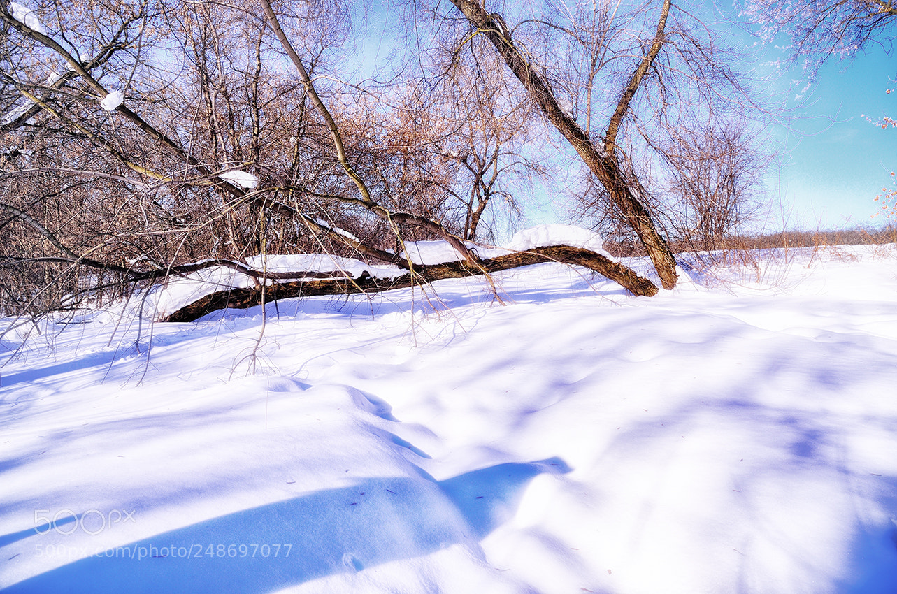 Nikon Df sample photo. Untitled photography