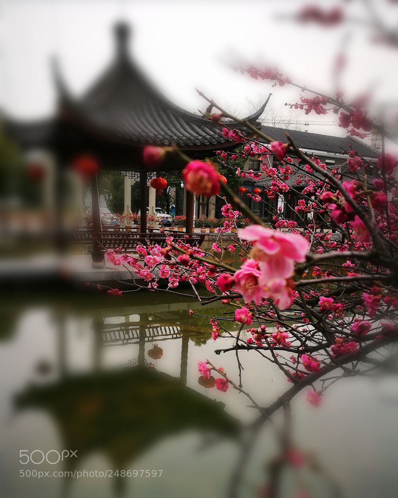 HUAWEI P9 sample photo. Untitled photography