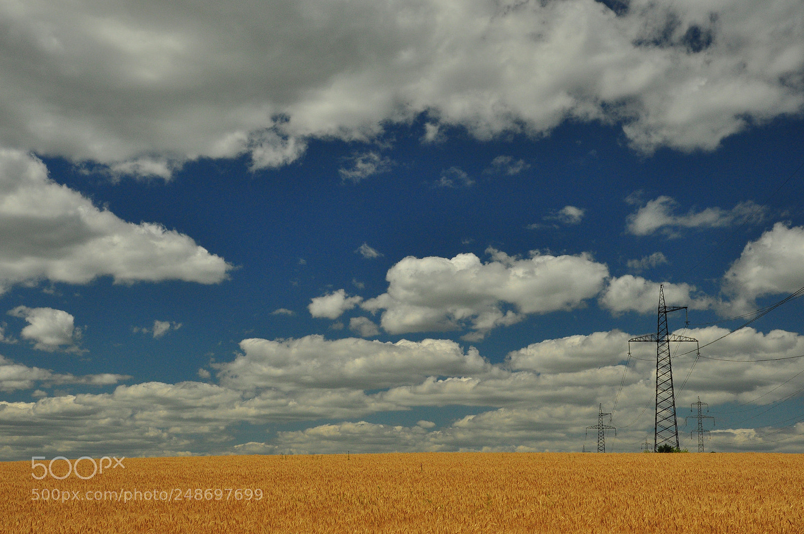 Nikon D90 sample photo. Ukrainian summer photography