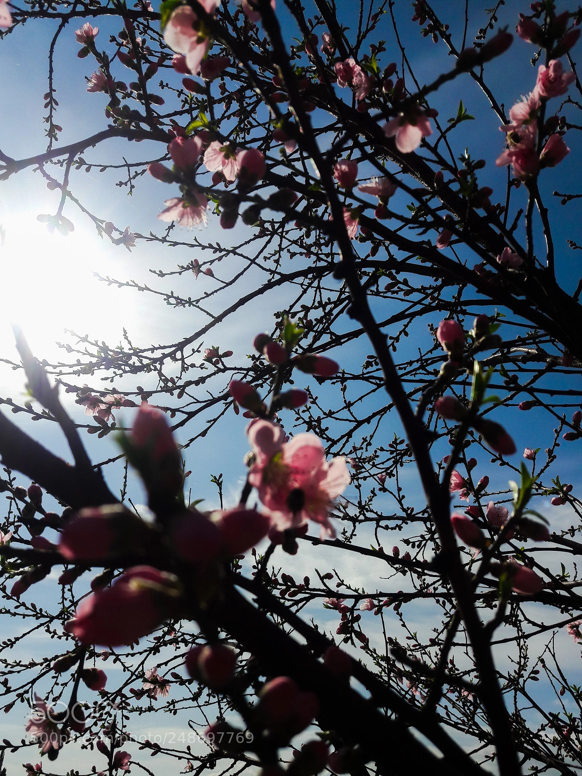 Samsung Galaxy A5(2016) sample photo. ...... photography