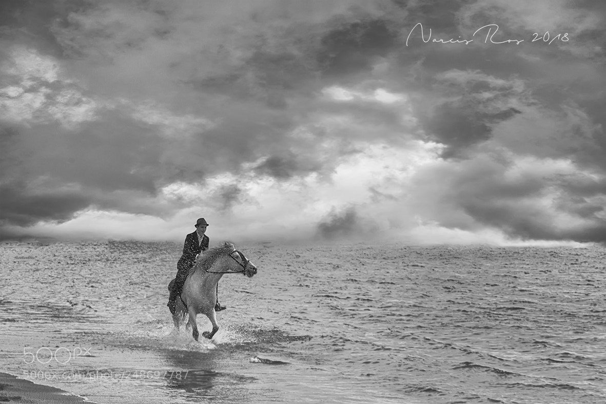 Nikon D610 sample photo. Riding near the sea photography