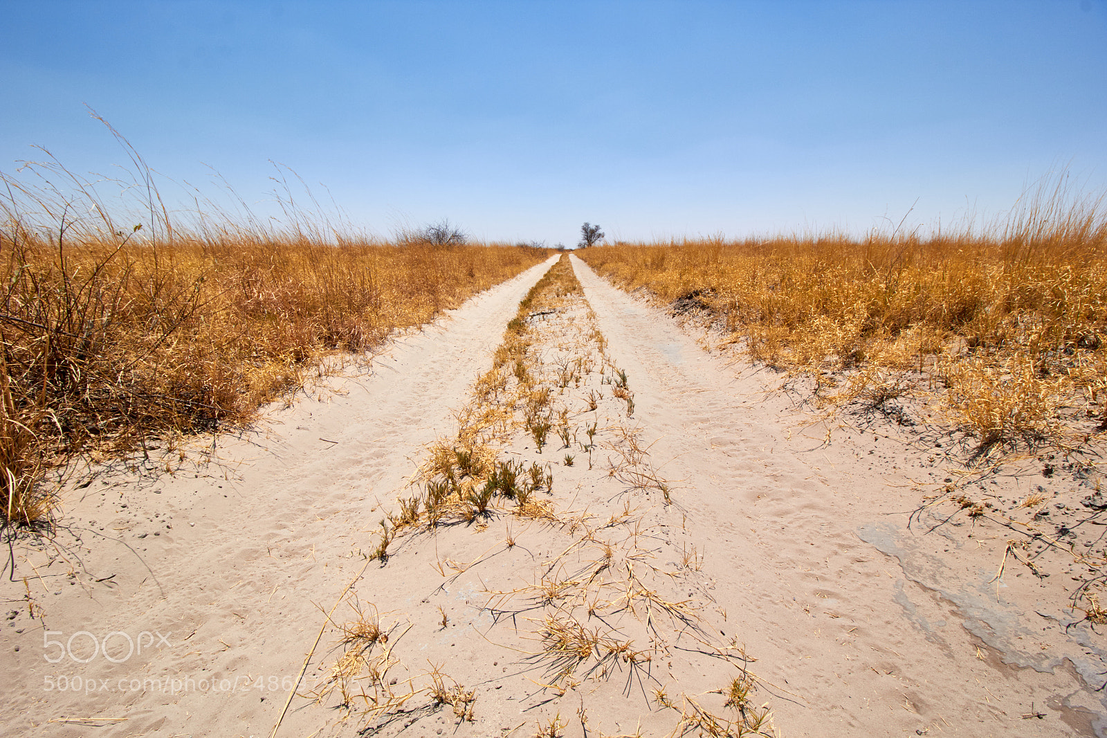 Canon EOS 60D sample photo. The endless sandy road photography