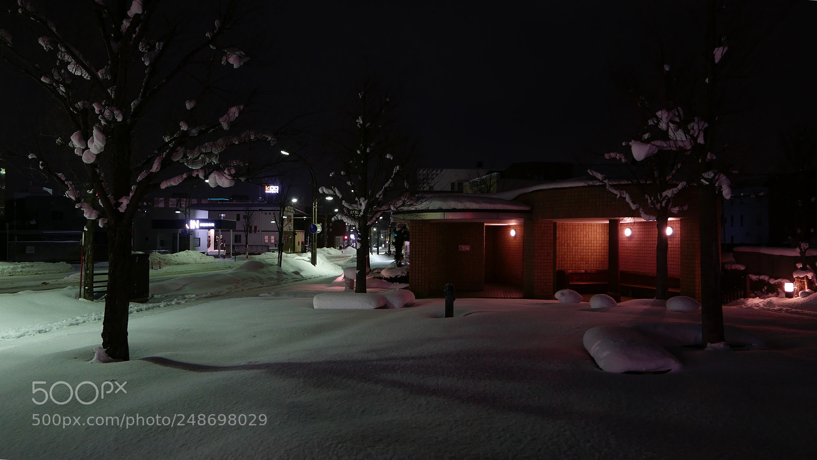 Leica D-Lux (Typ 109) sample photo. 静夜。。。 photography
