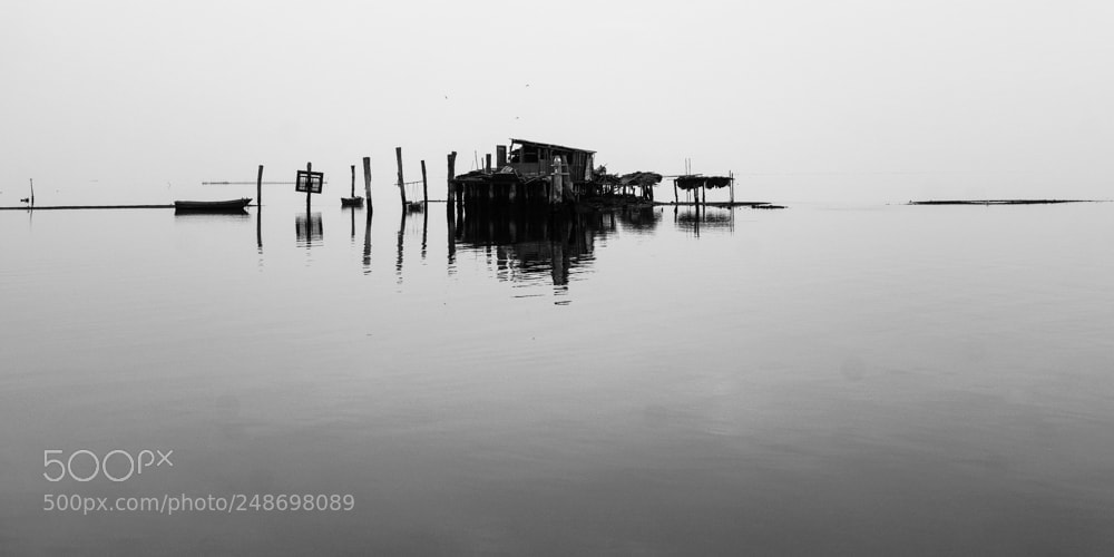 Sony a6000 sample photo. Untitled photography